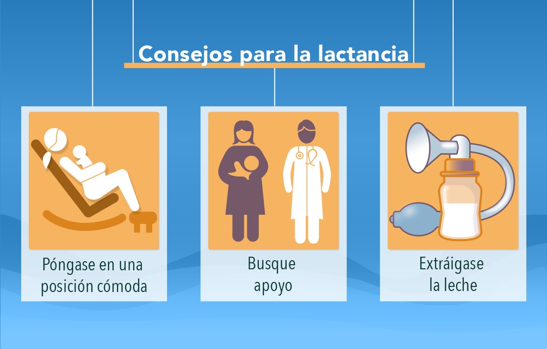 Cómo amamantar y ayudar a su bebé a prenderse al pecho